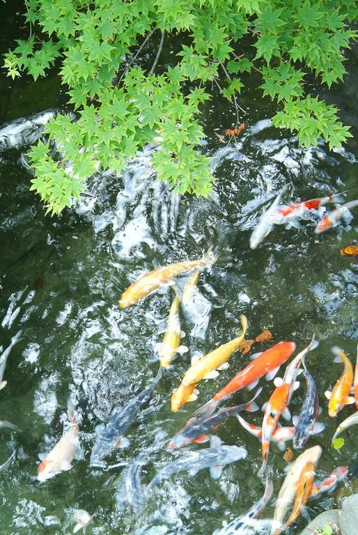 Kaikake Onsen Otel Yuzawa  Dış mekan fotoğraf